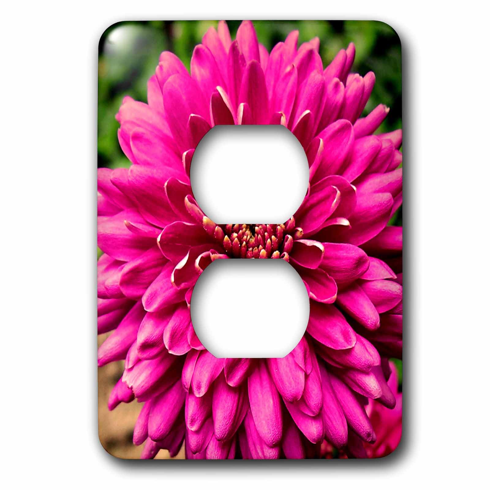 Plaque murative cache de prise 2 prises dahlia rose 3dRose lsp_28692_6 design floral