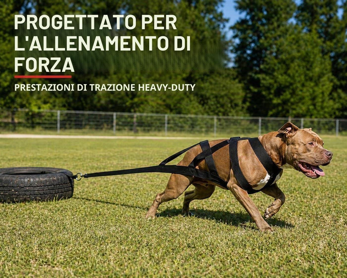 IRSTBL Imbracatura per cani con fischietto a ultrasuoni, imbracatura posteriore a X, per canicross, slittino e allenamento muscolare, ideale per cani da lavoro