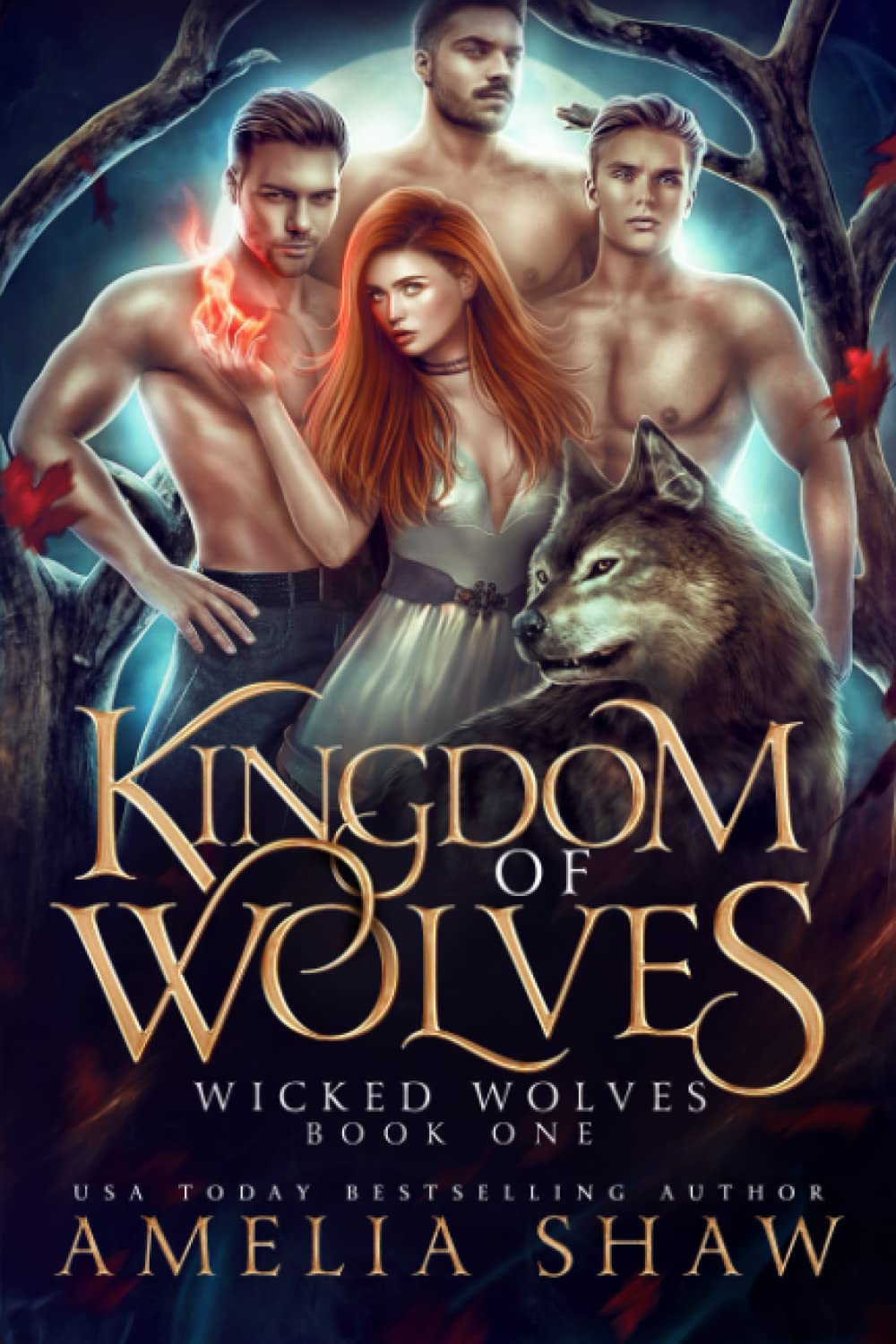 Kingdom of Wolves: A paranormal reverse harem romance (Wicked Wolves)
