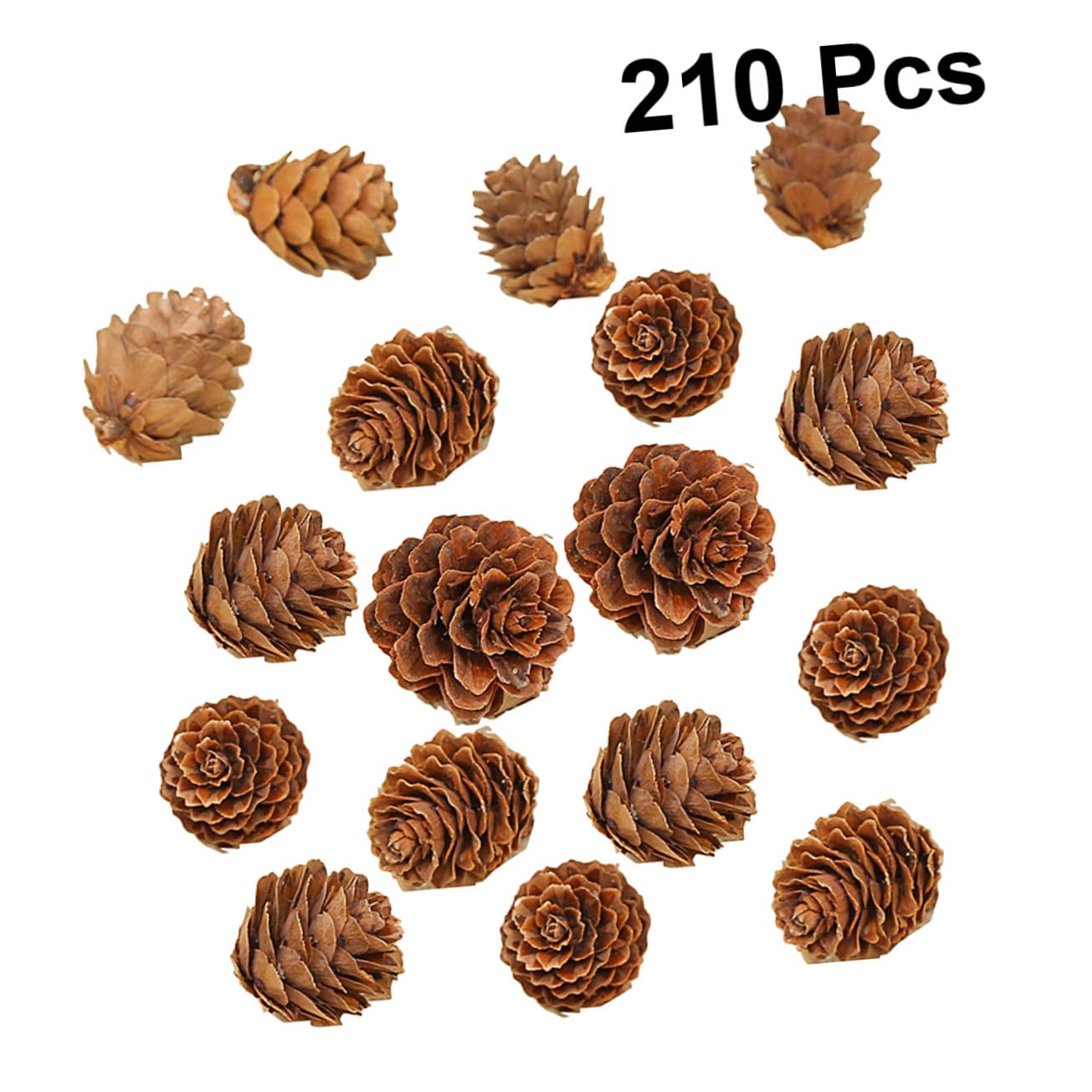 210 Piezas Mini Piñas Naturales Decoración Rústica Hogar Navidad Acción de Gracias Manualidades Plantas