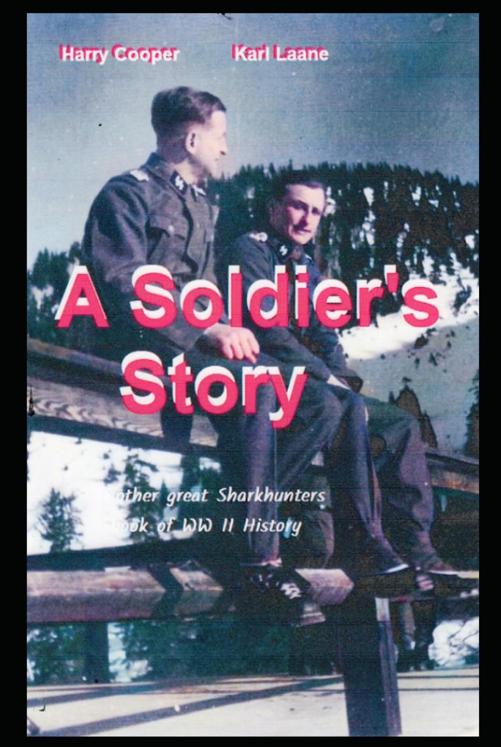 A Soldier's Story