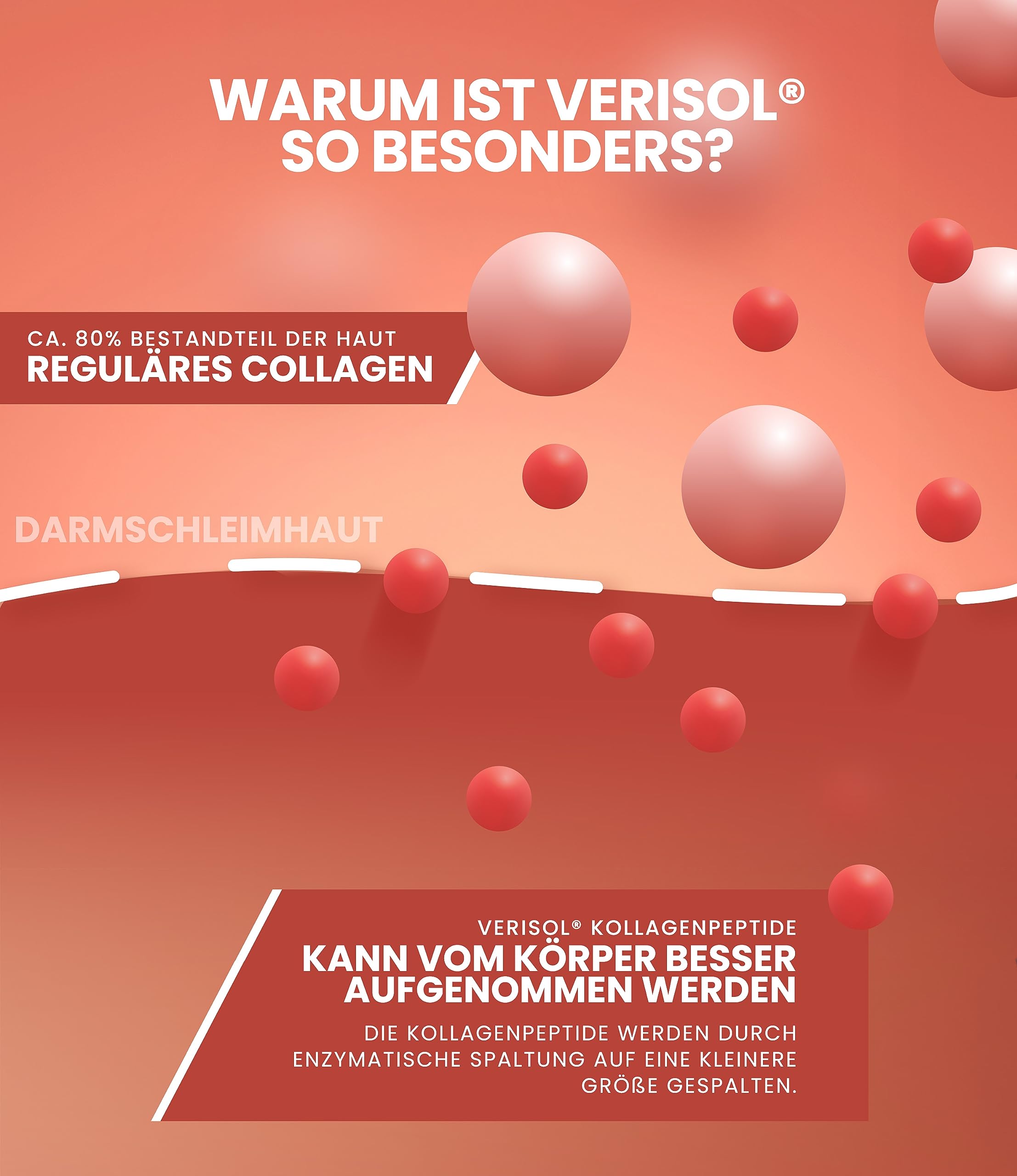 Purefitness VERISOL® Collagen Pulver 600g [NOTE 1,1] mit BEAUTY-Formel - Patentiertes VERISOL® Collagen Peptide - Kollagen Pulver mit Hyaluron, Biotin & Vitamin C (Packung mit 2)