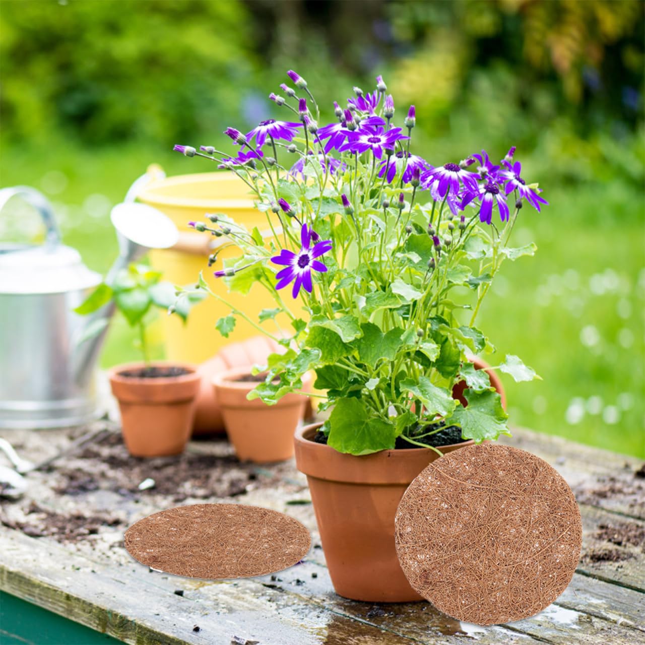 TOPBATHY 12Pcs Coconut Coir Plant Liners 4 Inch Breathable Flower Pot Gaskets for Hanging Basket Liners and Bird Nesting Ideal for Garden and Home Decoration - Image 3