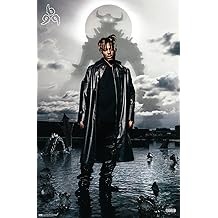 Trends International Juice WRLD - Affiche murale de couverture d'album Fighting Demons, 19 L x 13 W, version Premium Unframed