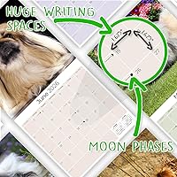 Vista 83 de Razas de Perros 2017