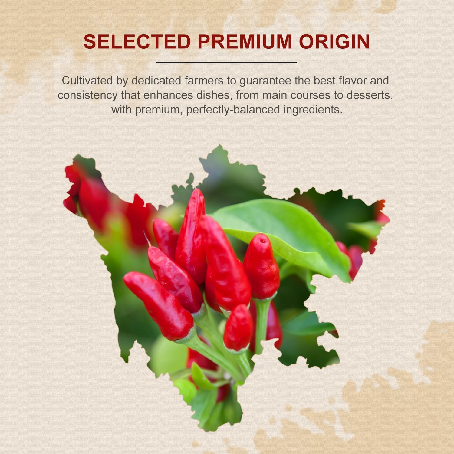 Amazon.com : 52USA Dried Chili Peppers, 4oz (Pack of 1), Mild
