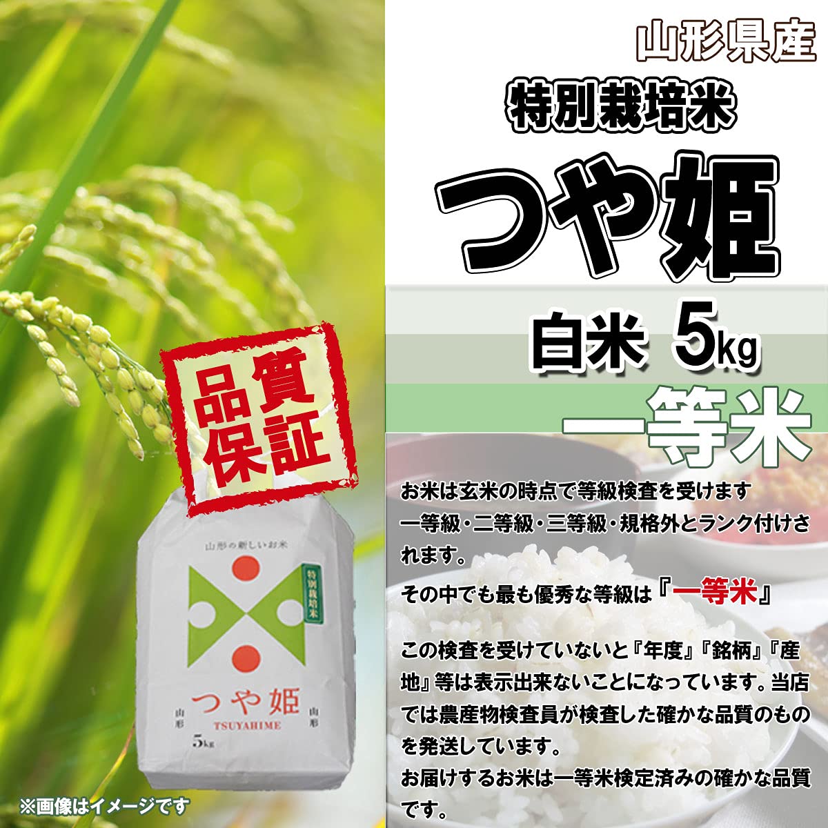 Amazon.co.jp: 成澤農園 令和7年産 山形県産 つや姫 白米 5kg : 食品