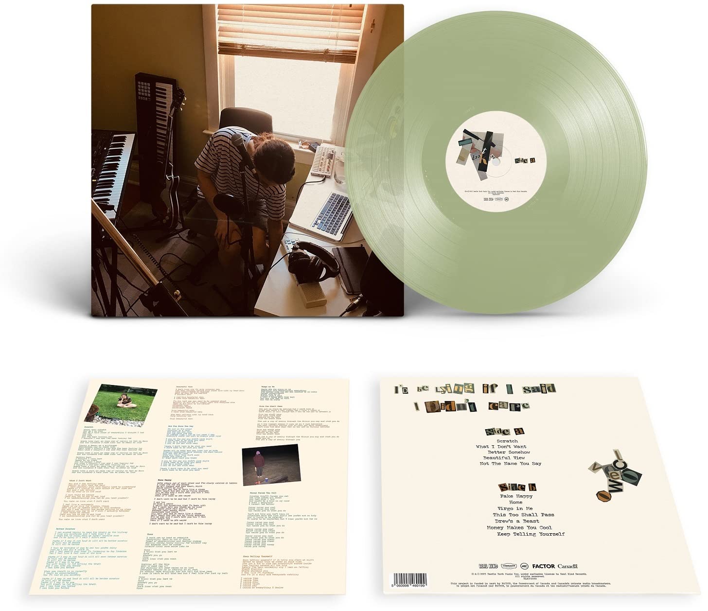 I'd Be Lying if I Said I Didn't Care [VINYL]