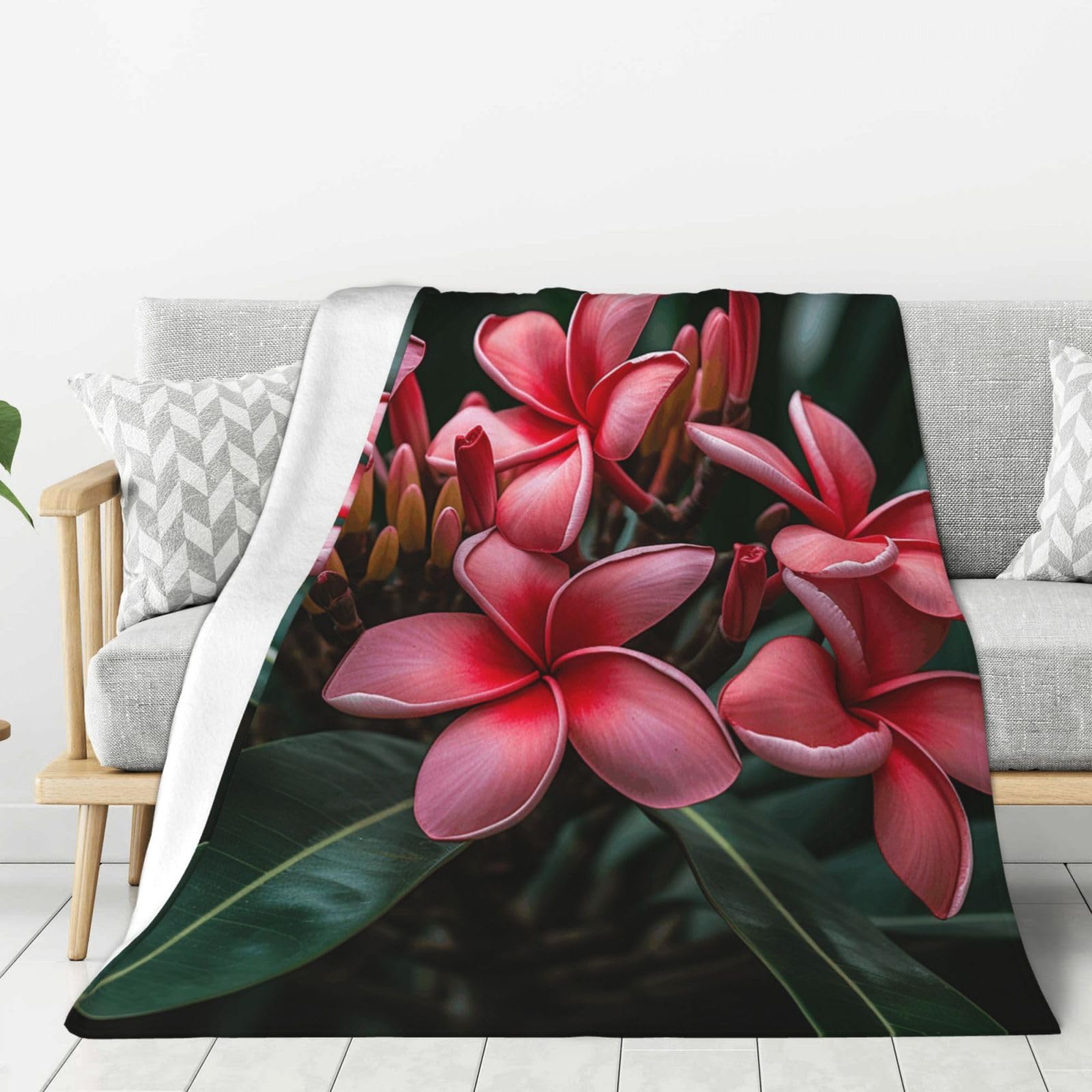 Plumeria Throw Blanket Plush Flannel Fleece Blanket, Soft Lightweight Cozy Blankets 60"X50" for Bed Couch Sofa Travel