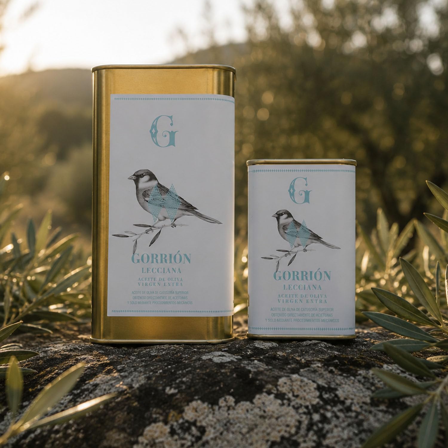 ANIDO GORRIÓN Aceite de Oliva Virgen Extra Premium 100% Lecciana – AOVE Cosecha Temprana, Extracción en Frío <27°C, Baja Acidez 0,08%, Origen Aragón (España), 1 Litro