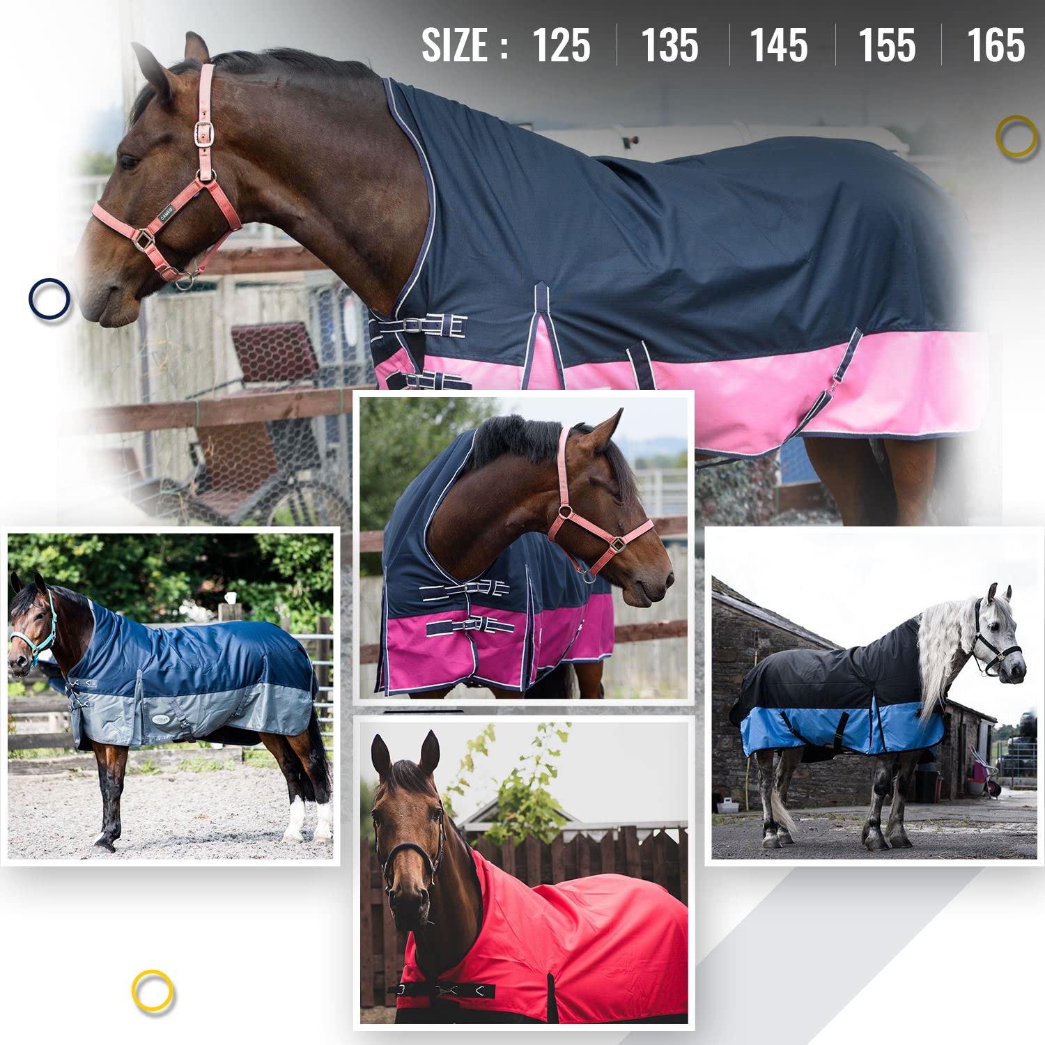 Equitack Pferdedecke 1200 Denier Winter | Weidedecke Mit 100g Füllung Schwarz/Blau 135cm