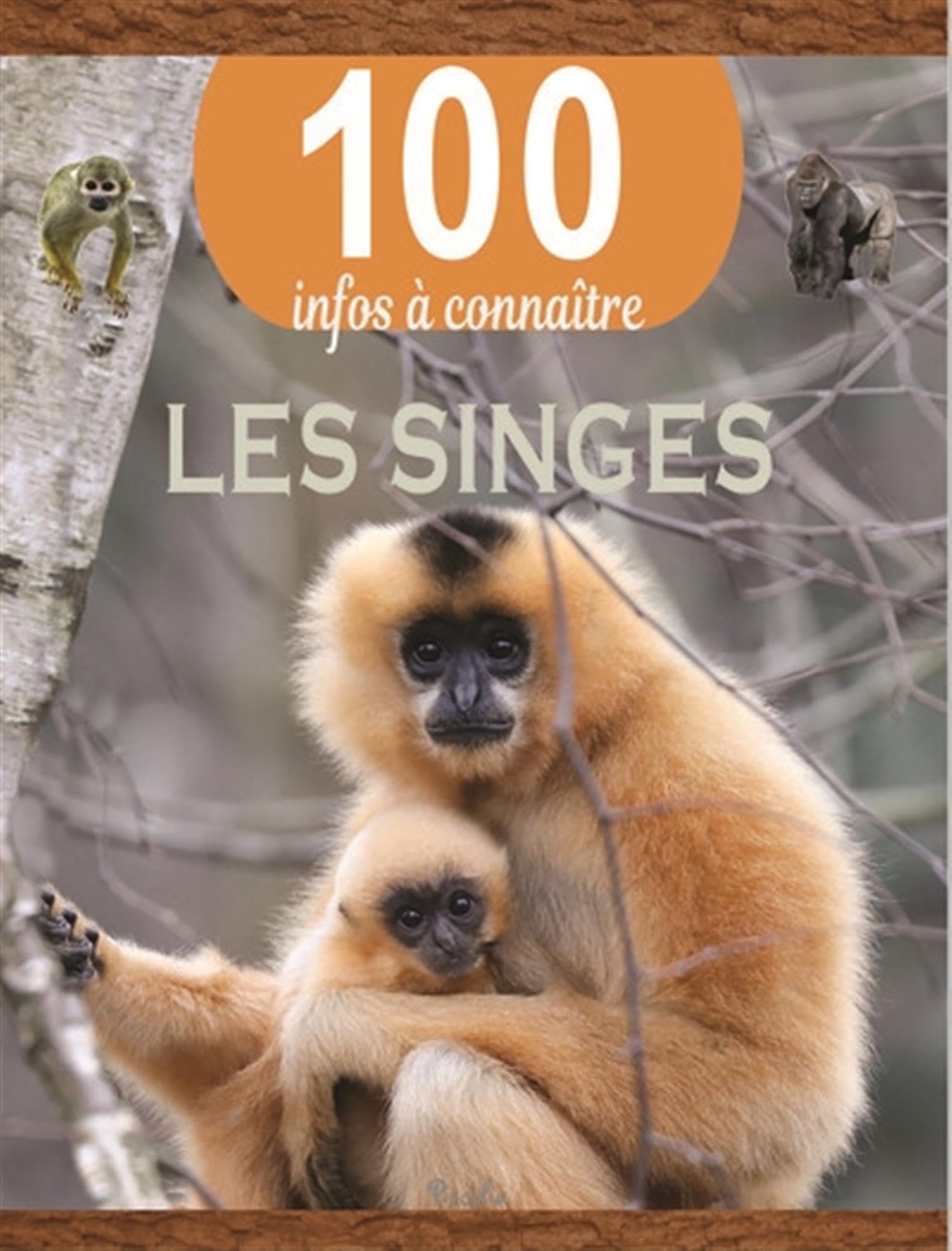 Les singes - 100 infos à connaître