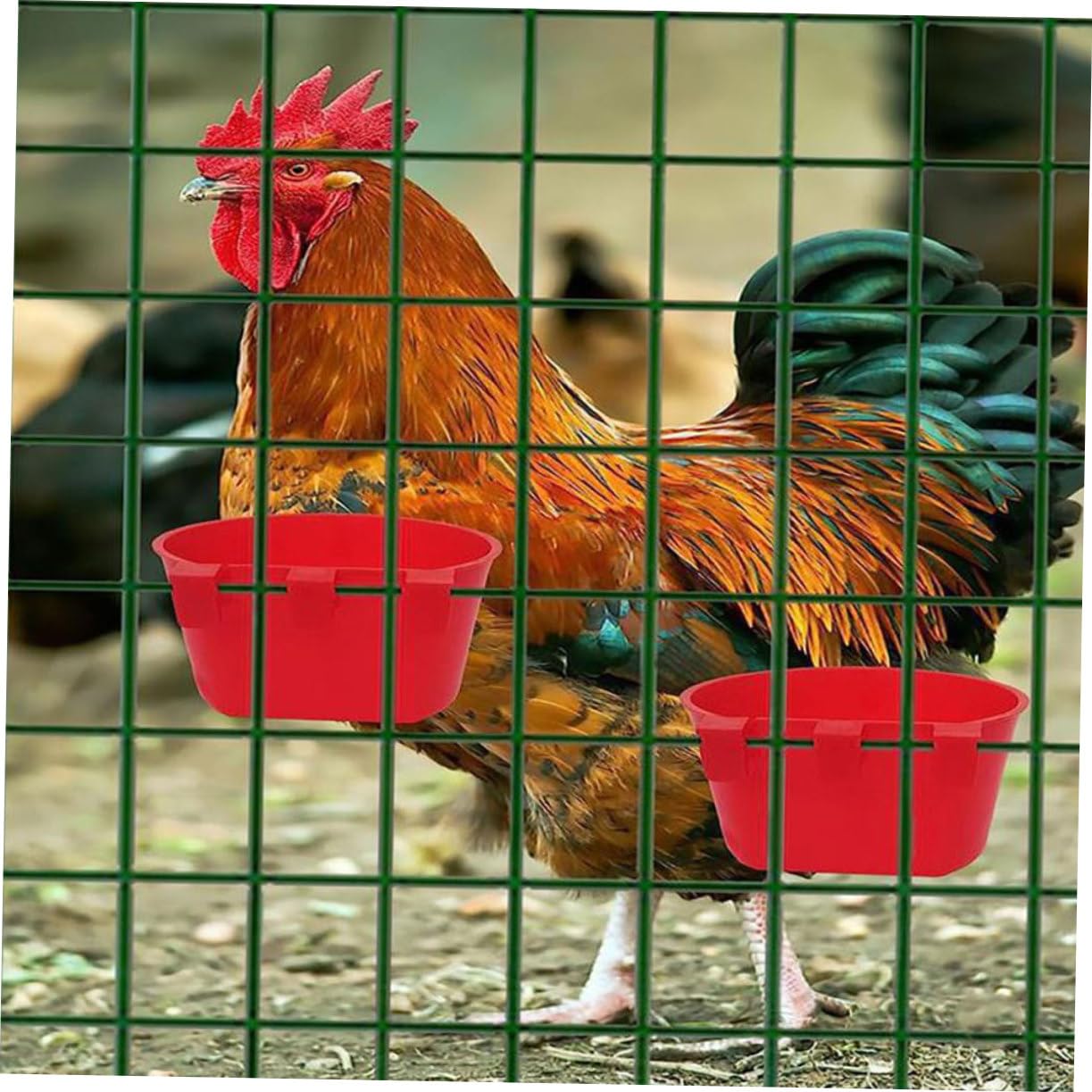 UPKOCH 20stücke Futterspender für Vögel aus Vogelnapf zum Füttern von Futter und Wasser Hängend für Papageien und Kleine Vögel Leicht zu Reinigen und Anzubringen Vogelzubehör für Käfige