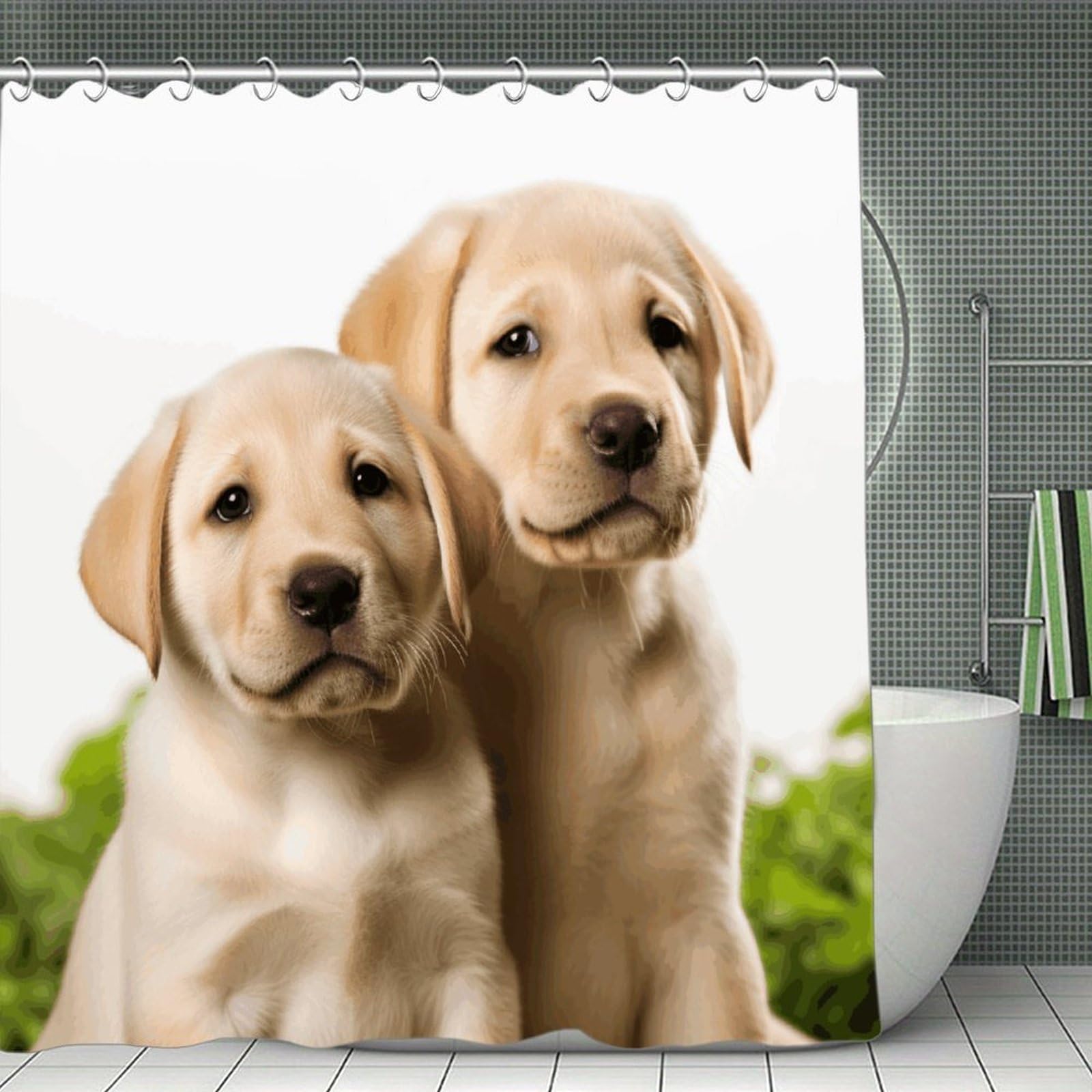 VstaDank Funny Labrador Puppy Dog Shower Curtain Waterproof Bathroom Curtain with Hooks Luxury Weighted Bath Curtains for Bathtubs Showers Room Dividers Decorative Shower Curtains 71x71 in