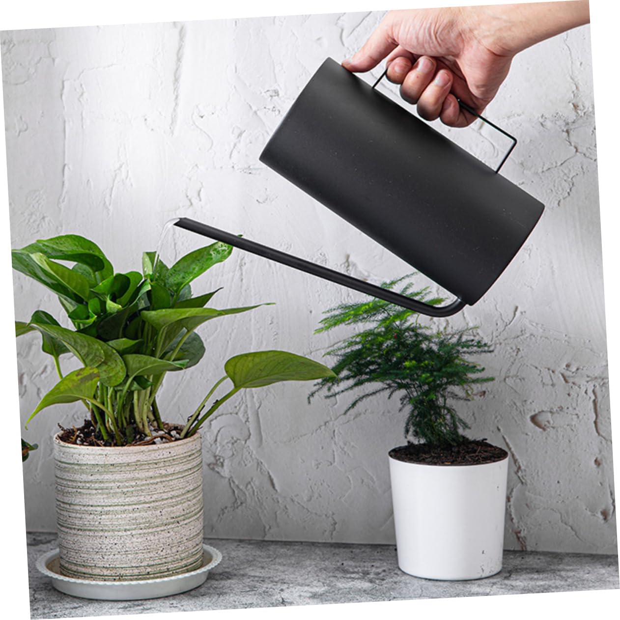 Regadera Acero Inoxidable de Gran Capacidad Negra de Plantas