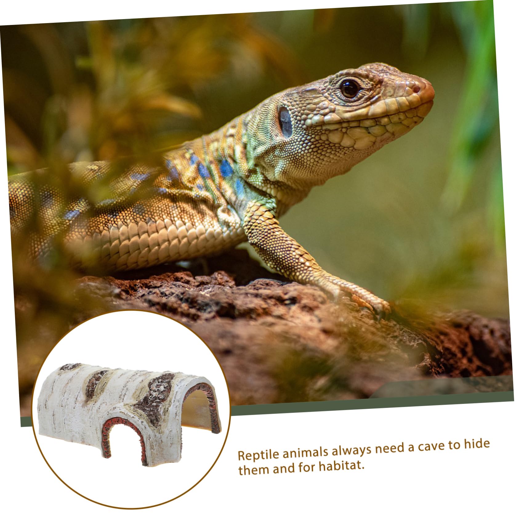 Ballast Pour Tube T8 UV Pour Terrarium Et Aquarium 40 Watts Glo