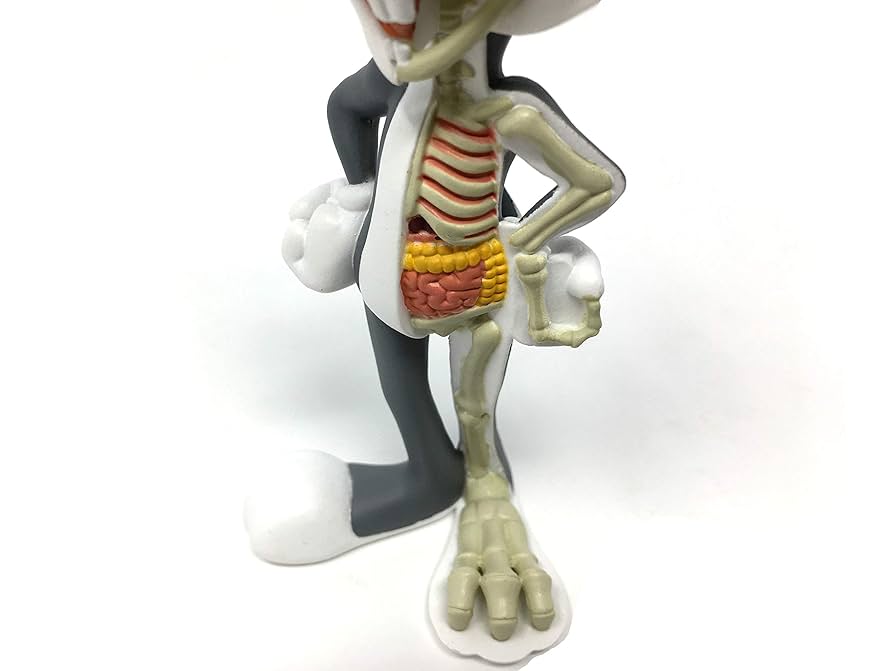 アメコミ Anatomical Bugs Bunny By Jason Freeny Anatomical Wabbit Bugs Bunny By Jason Freeny x Kidrobot x