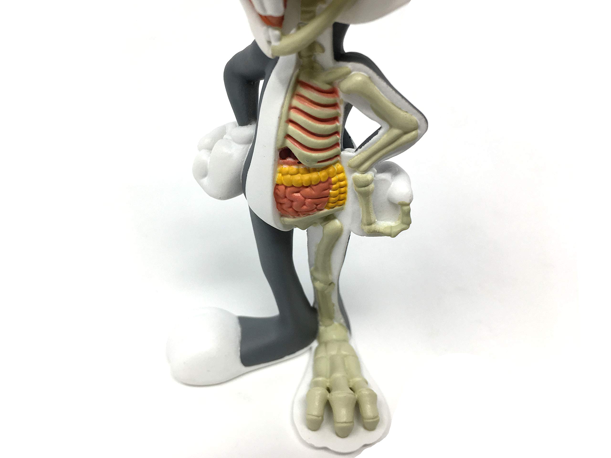 アメコミ Anatomical Bugs Bunny By Jason Freeny Anatomical Bugs Bunny By Jason Freeny | tomenosuke