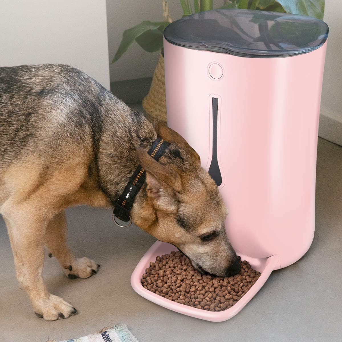 navaris automatic pet feeder