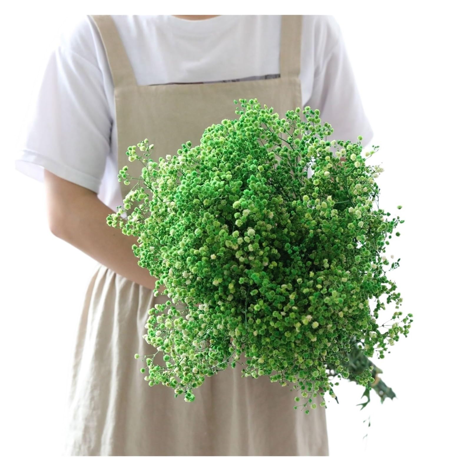 WJIAYAO dried gypsophila flowers Dried Flowers Gypsophila Baby Breath Bouquet Gypsophile Wedding Party Decoration Home Photo Decor(Green,80g)