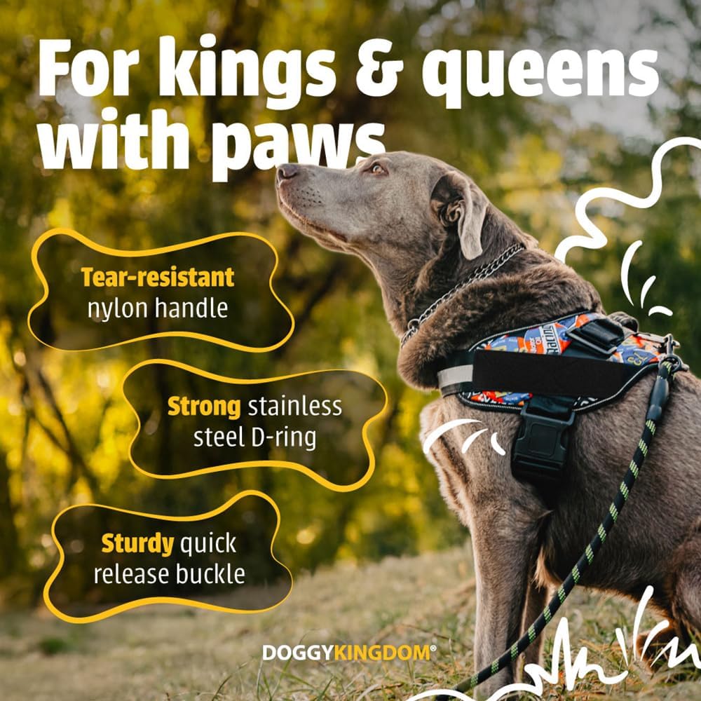 DOGGYKINGDOM Dog Harness with Patch Panels, No Choke, Reflective, Adjustable, Soft Padded Dog Vest Harness with Easy Control Handle for Medium Sized Dog, Blue, M