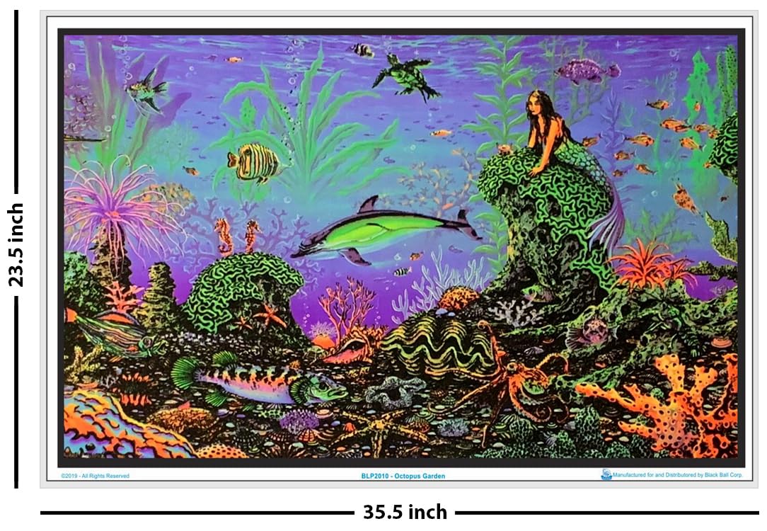 絵画 flk041115 Amazon.com: Octopus Garden by Michael Fishel - Laminated