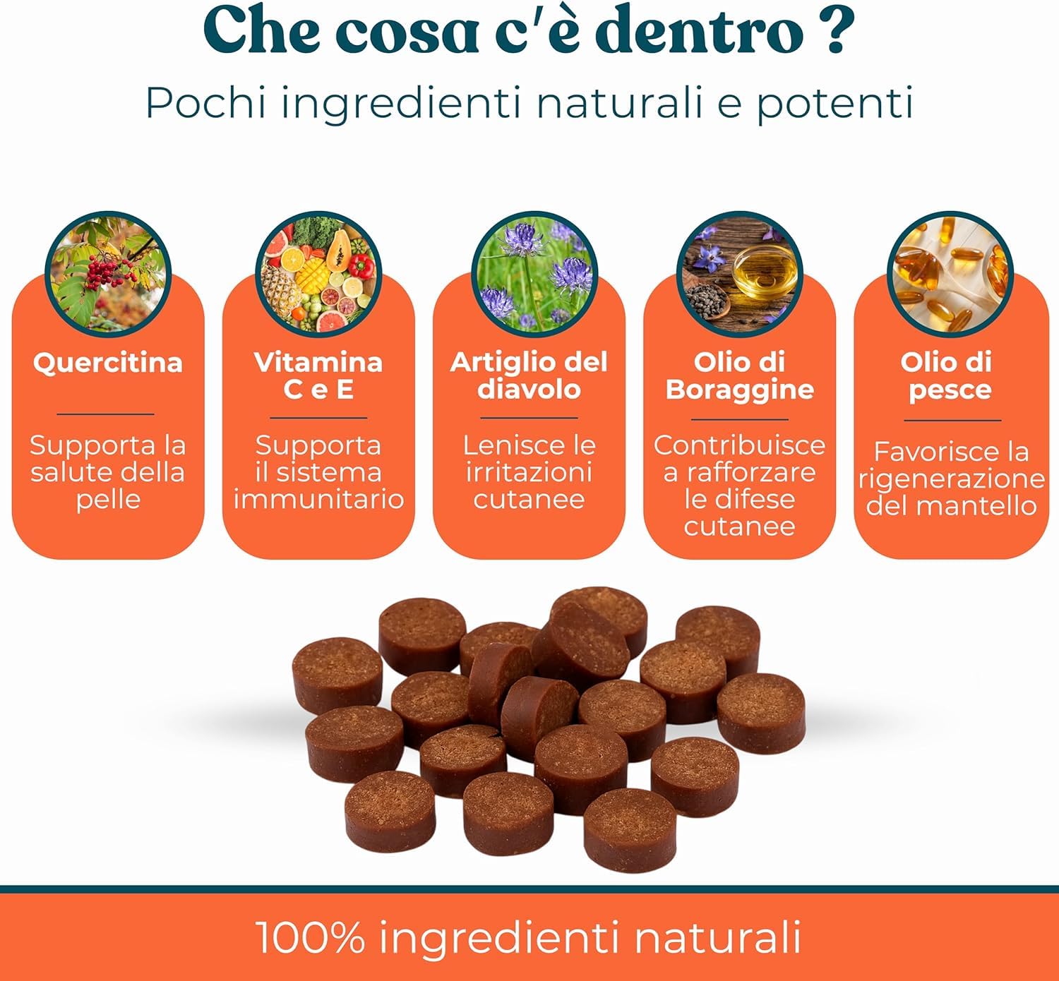 Supporto Prurito con Probiotici per Cani Gusto Manzo - Integratore per CanI per Prurito e Sensibilità Stagionali