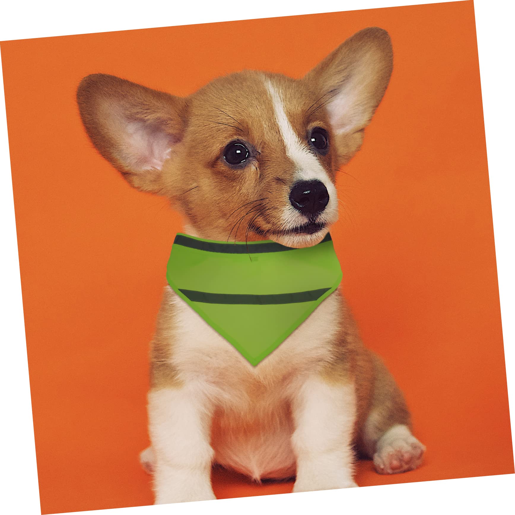 6pièces Écharpe Réfléchissante pour Chiens Lot de Bandanas Triangulaires Colorés Accessoire De Mode Pratique Et Visible pour Promenade Nocturne