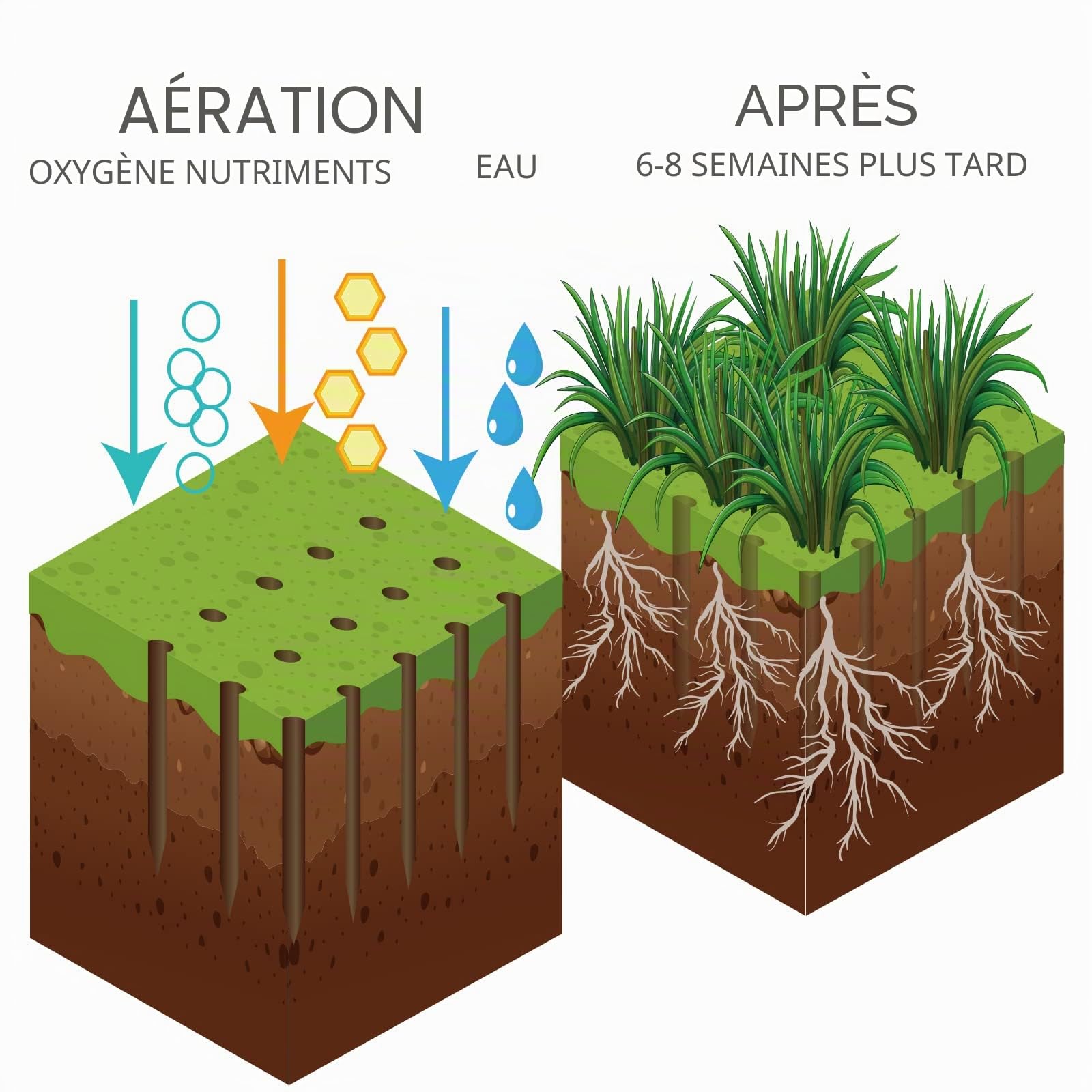 Walensee Aérateur de pelouse en métal Manuel pour déchaumer la pelouse avec 15 Pointes en Fer, Outils d'aérateur d'herbe pré-assemblés pour Cour, aération de pelouse, Outil de Jardin, ravive la santé