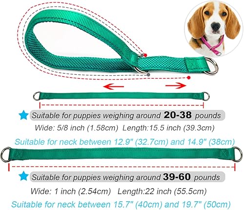 Miniatura 5 de Collar reflectante para perro, collar de nailon suave para entrenamiento de perros en turquesa de 22 pulgadas, ancho de 1 pulgada (adecuado para