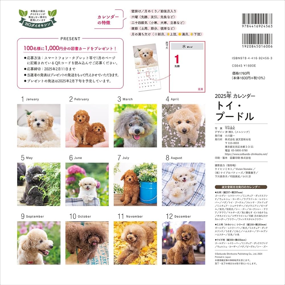 アンティーク　プードルの日めくりカレンダー 2025年カレンダー トイ・プードル (誠文堂新光社カレンダー