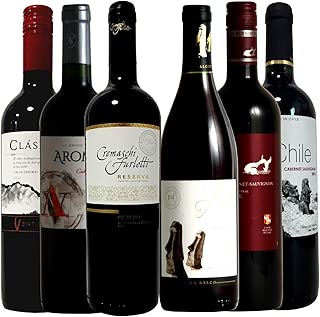 銘醸地チリ 赤ワイン6本セット ソムリエ厳選 750ml×6