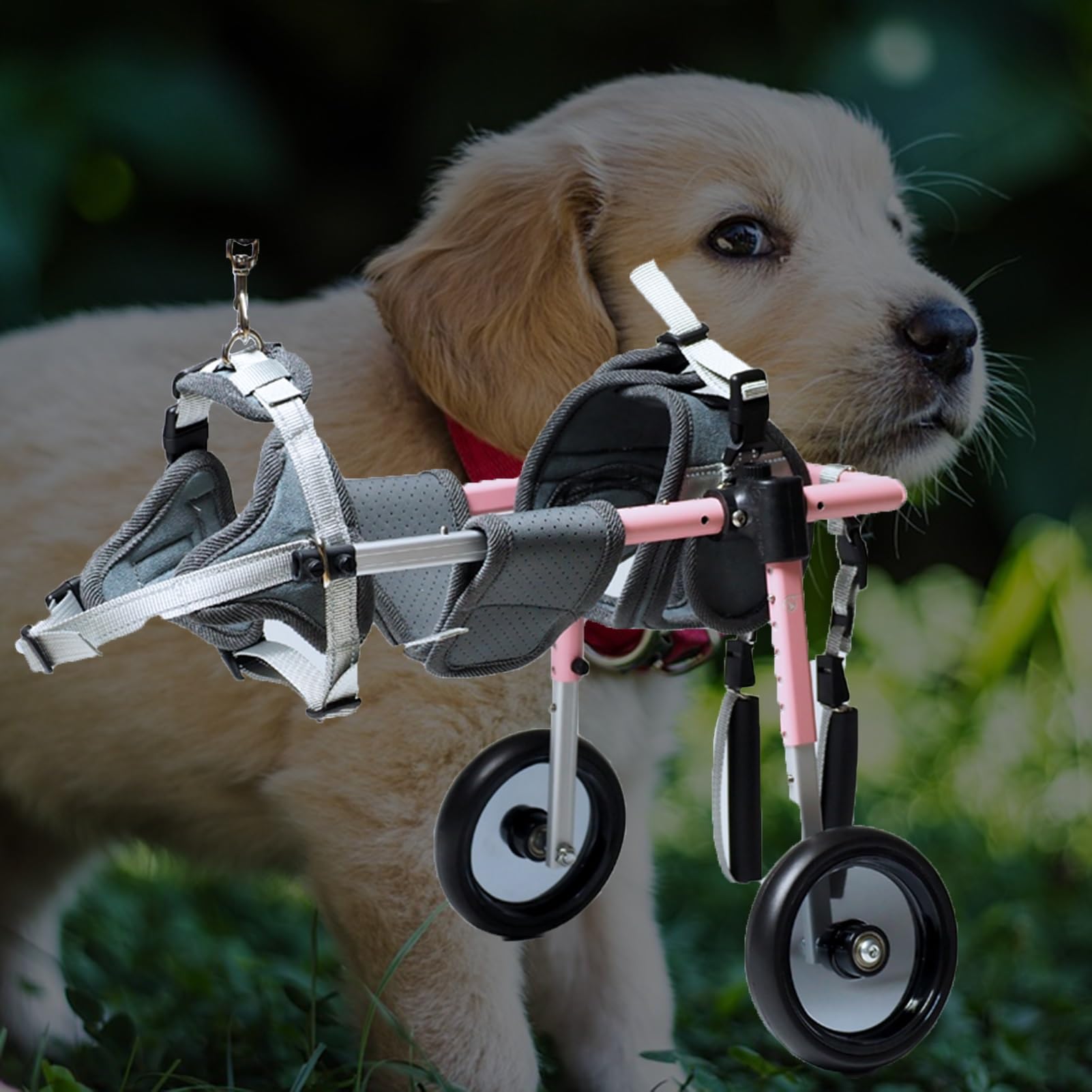 Amazon.com: UrbanUp Dog Wheelchair Pink Adjustable Cat/Dog