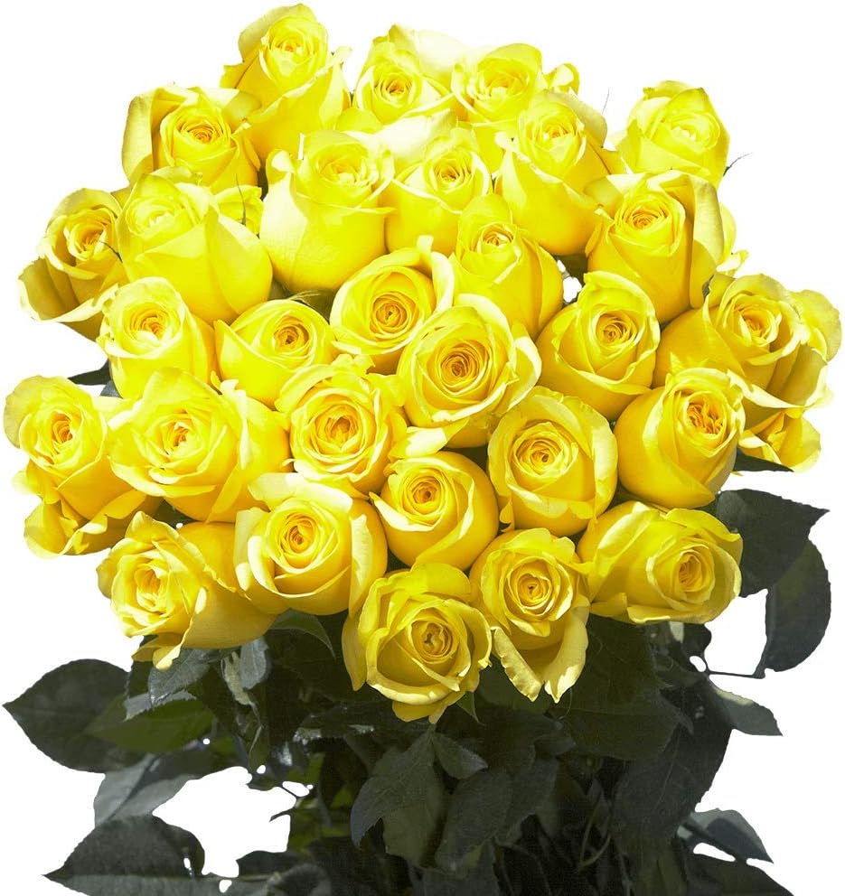 GlobalRose 50 Fresh Cut Lemon Yellow Roses - Citran Roses - Fresh Flowers For Birthdays, Weddings or Anniversary.