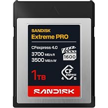 SanDisk CFexpress PCIe 4.0 Type-B 1TB SDCFEB-1T00-GH4NN Limited