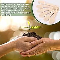 Vista 7 de 200 mini cucharas de madera de 4 pulgadas, biodegradable compostable, madera de abedul natural, cubiertos de madera desechables de grado alimenticio