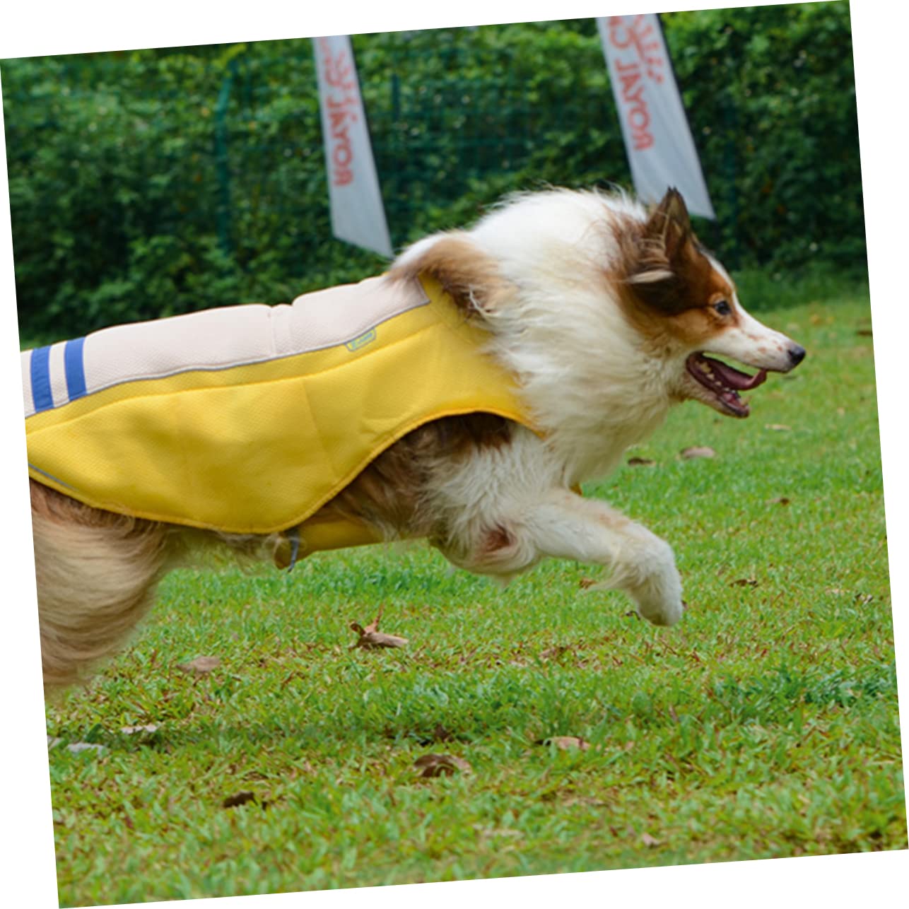 Toddmomy Gilet Rafraîchissant Gilet Solaire Pratique en Polyester pour Chien Jaune pour Animaux, pour Promenade Estivale et Port Quotidien