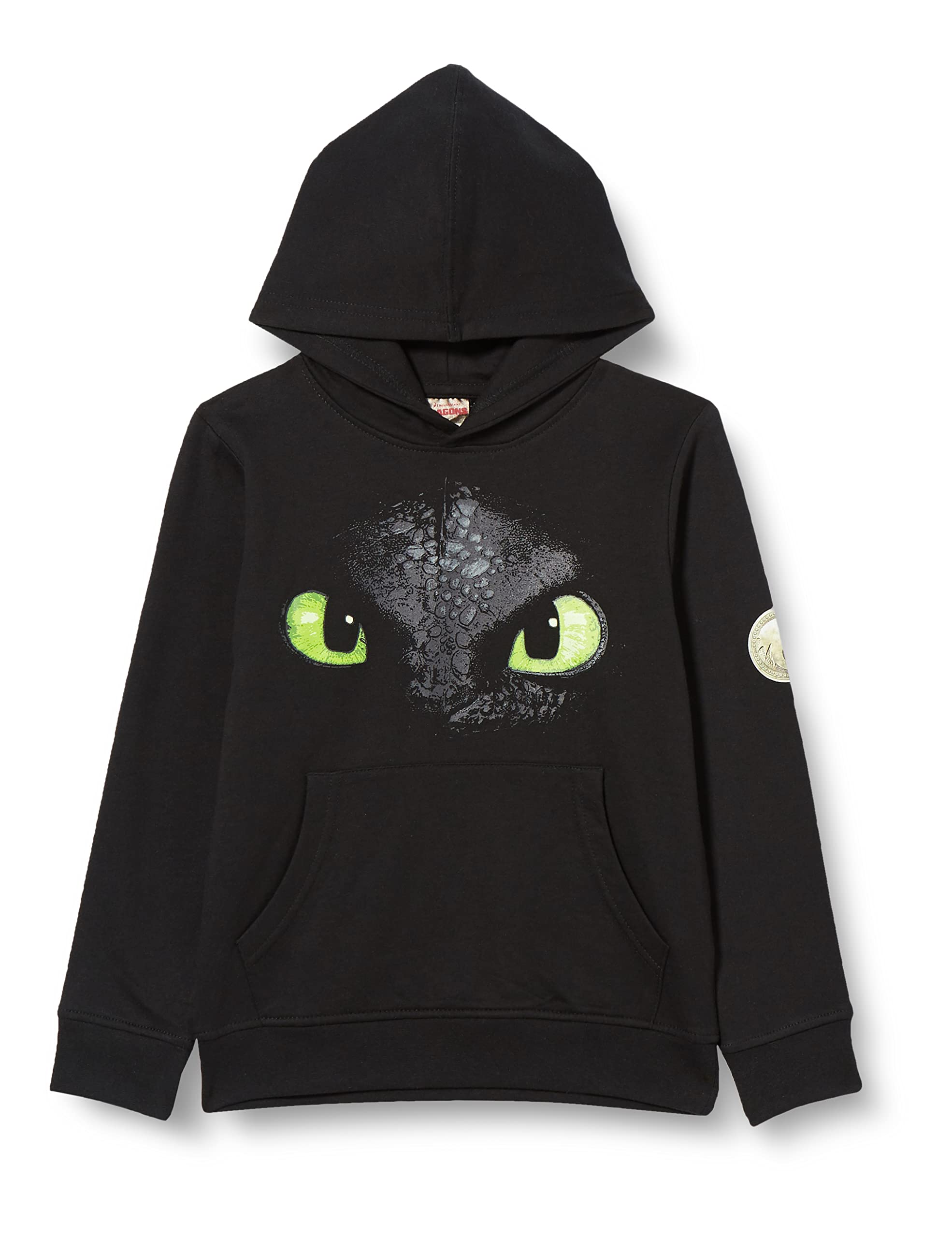 Dragons DreamWorks Hoodie Felpa con Cappuccio Unisex-Bambini