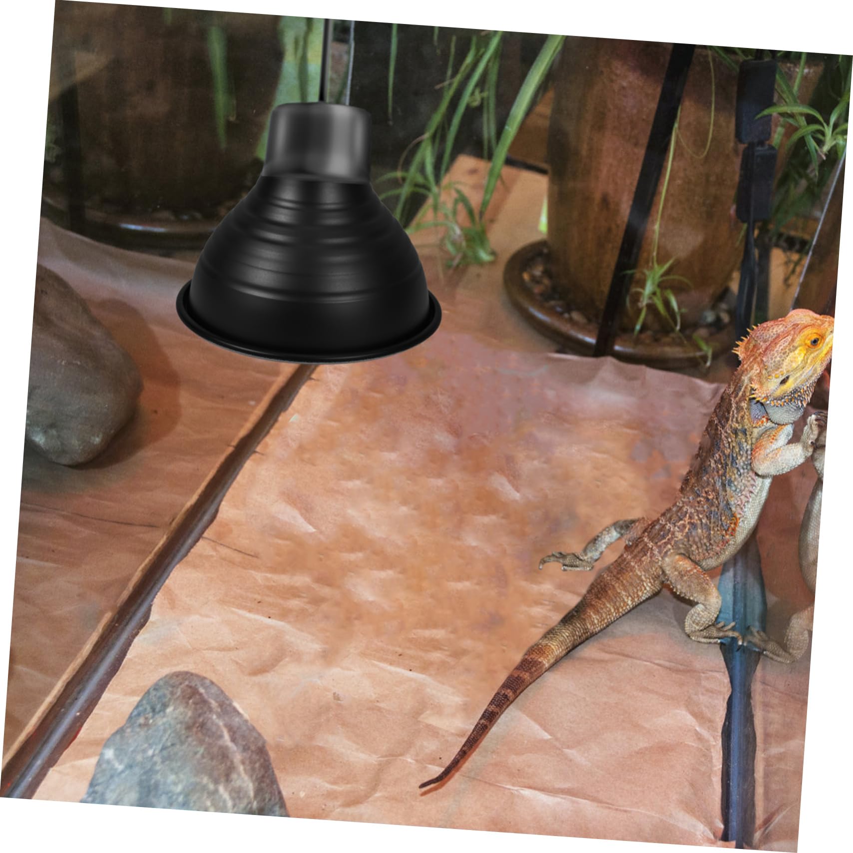 Cabilock 5 Piezas luminarias para reptiles accesorio de tanque de reptil cúpula de lámpara de reptil calentador reptiles Accesorios de iluminación para reptiles pantalla de reptil planchar