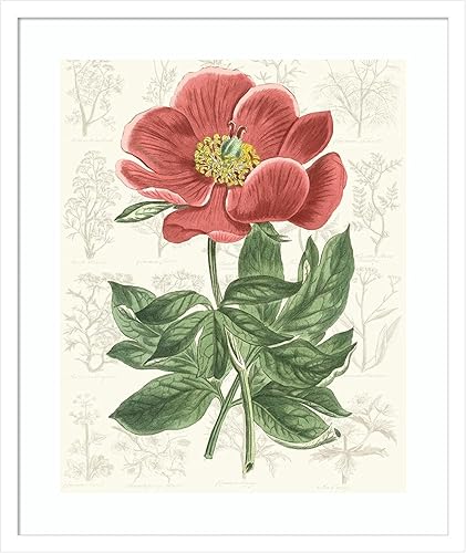 Miniatura 19 de Amanti Art Vision Studio - Lienzo decorativo para pared, 24 x 20 pulgadas, diseño de jardín de flores de peonía, arte de pared de flores, decoración