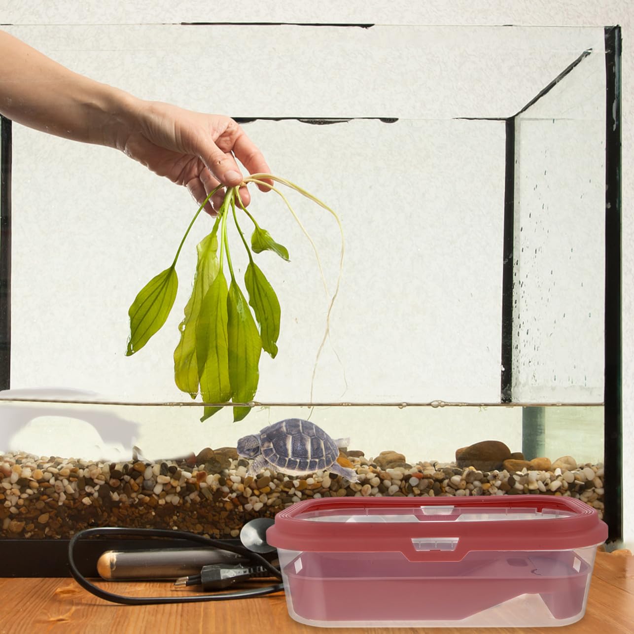 VICASKY Acquario per Tartarughe Domestiche Grande con Piano di Riposo Rosa Chiaro 43,7x26 Cm in Plastica, Vasca con Rampa Antiscivolo per Rettili e Anfibi, Habitat Multifunzionale