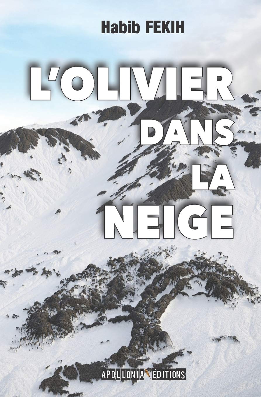 L'Olivier dans la neige