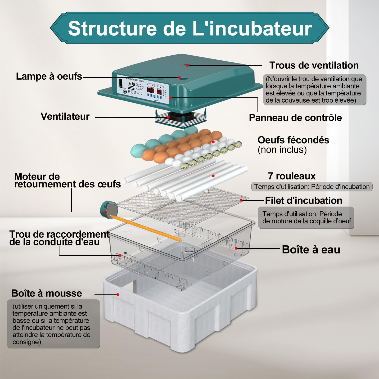CoInceptus Couveuse Oeuf Automatique, Incubateur Oeuf Automatique 24-36 Oeufs avec Retournement Automatique des Oeufs et Humidification Automatique, Couveuse pour Oeufs de Poule, Caille, Canard