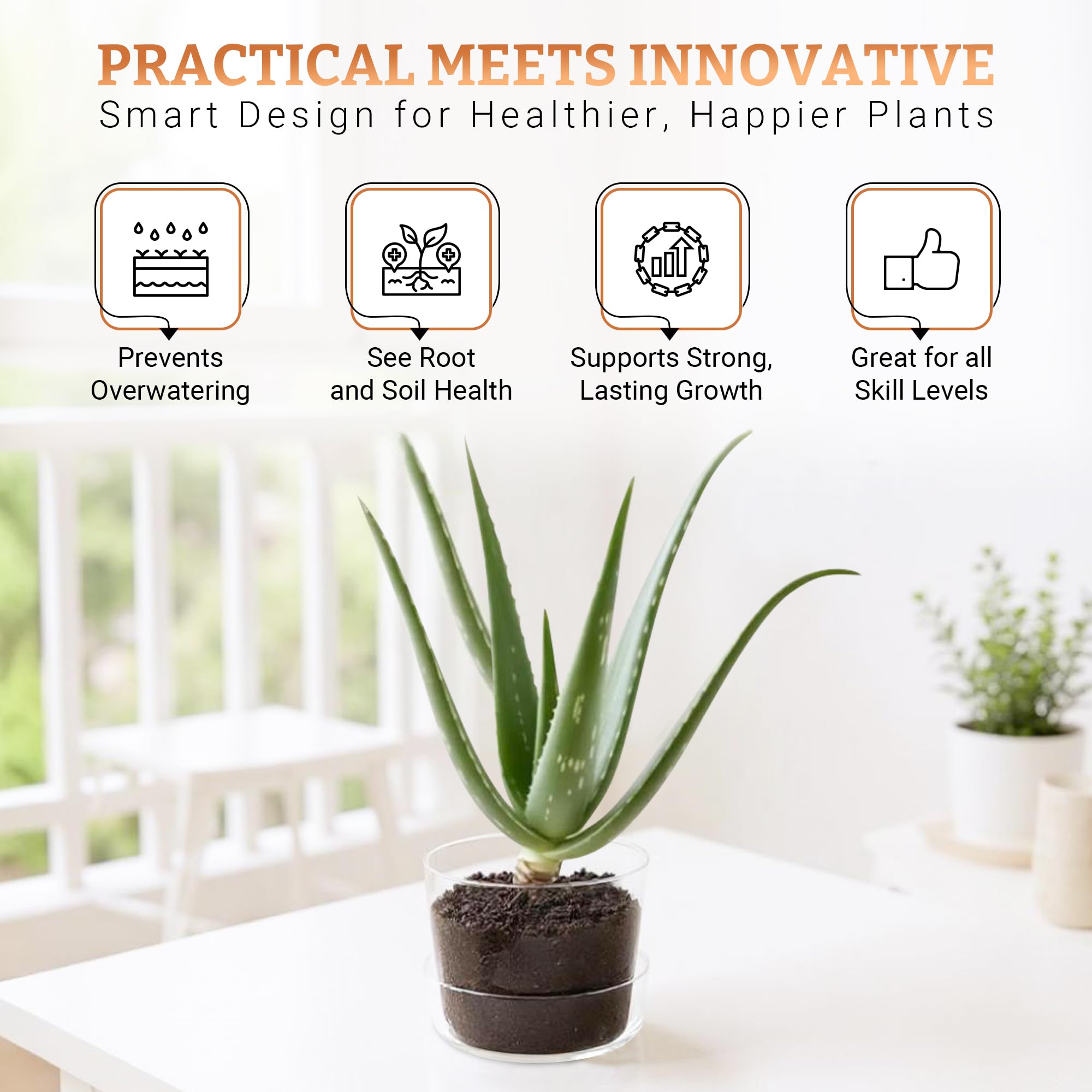 Elegante maceta de cristal transparente con agujeros de drenaje y bandeja, macetas decorativas modernas para plantas de interior, maceta de vidrio para el hogar, oficina, suculentas y plantas de