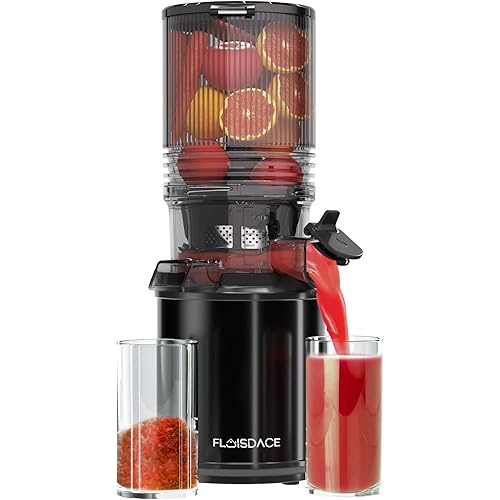 Cold Press Juicer – 6.5" Extra Large Feed Chute Fit Hands-Free Electric Masticating Juicer Machine, 350W Slow Masticating Juicer Machine for Whole Fruit and Vegetables – Easy Cleanup & Assembly