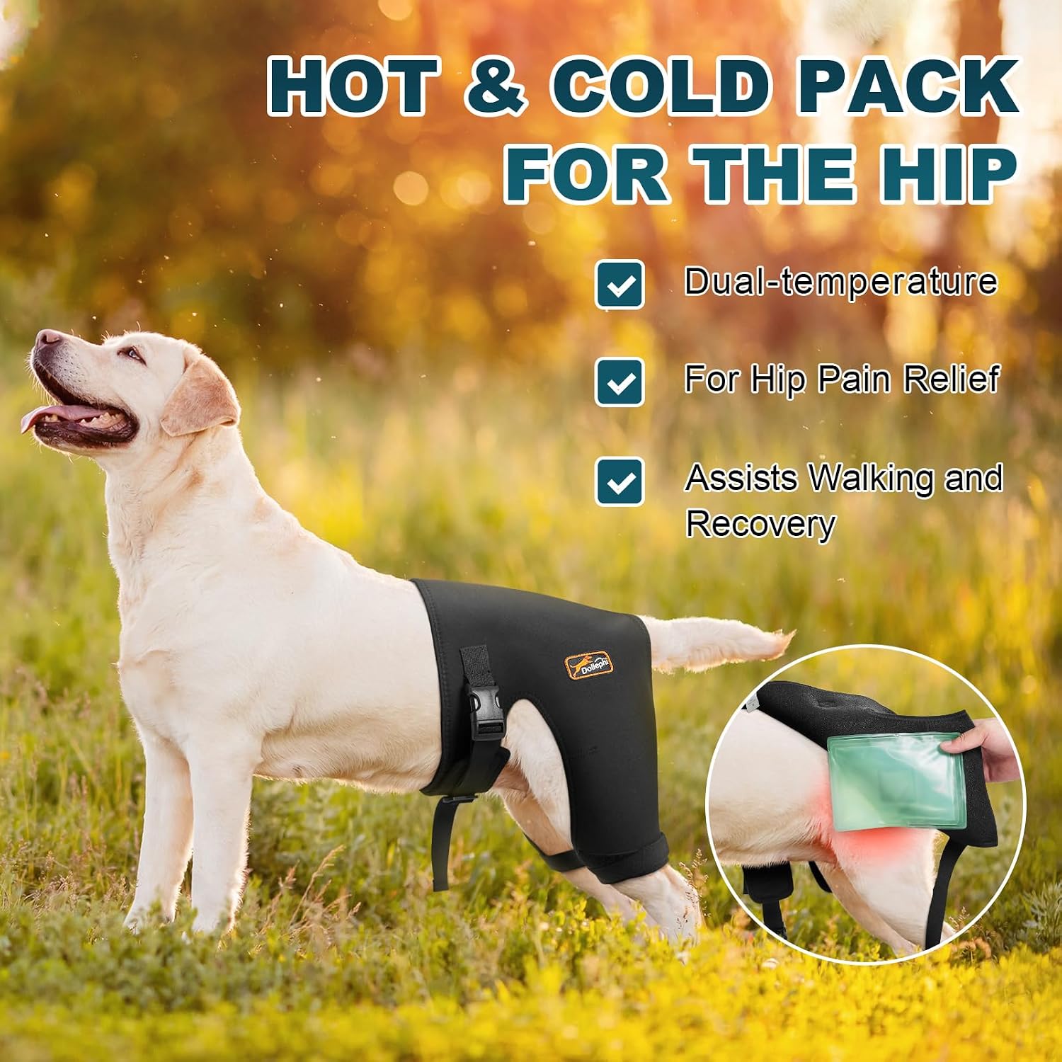 Dog Hip Brace with Hot/Cold Compress, Support for Hip Dysplasia, Arthritis, Back Leg limping, Prevents Hip Joint Issues, Reduce Hip Pain etc(Female Dog, XXL)