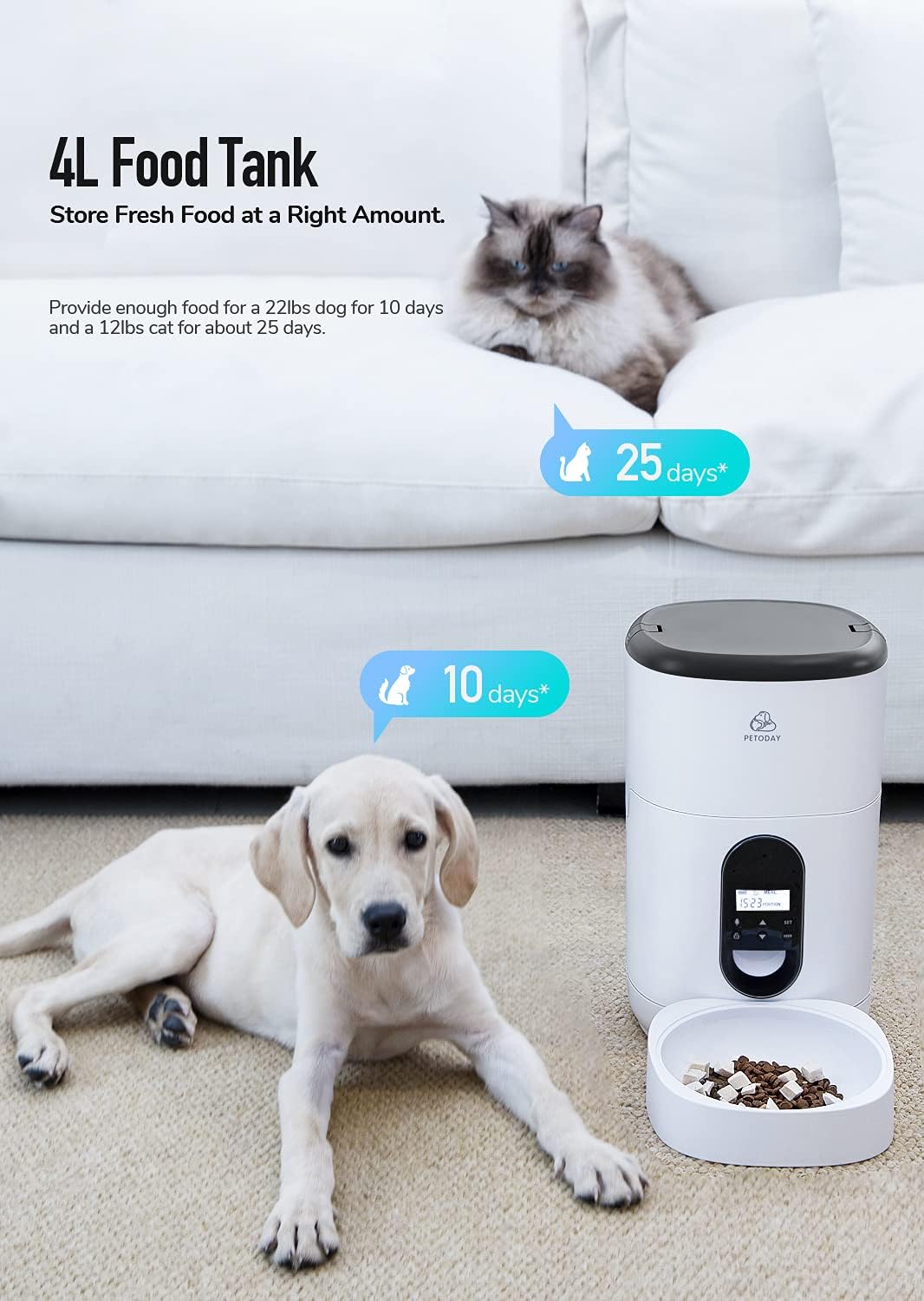 Pet Supplies : PETODAY 4L Automatic Cat Feeder,Timed Feeder with Voice Recorder, Dry Food Dispenser for Cat & Dog, with Programmable Timer for up to 4 Meals per Day, Automatic Pet Feeder Up to 20 Portion : 