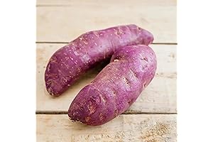 QAUZUY GARDEN Purple Sweet Potato Seeds