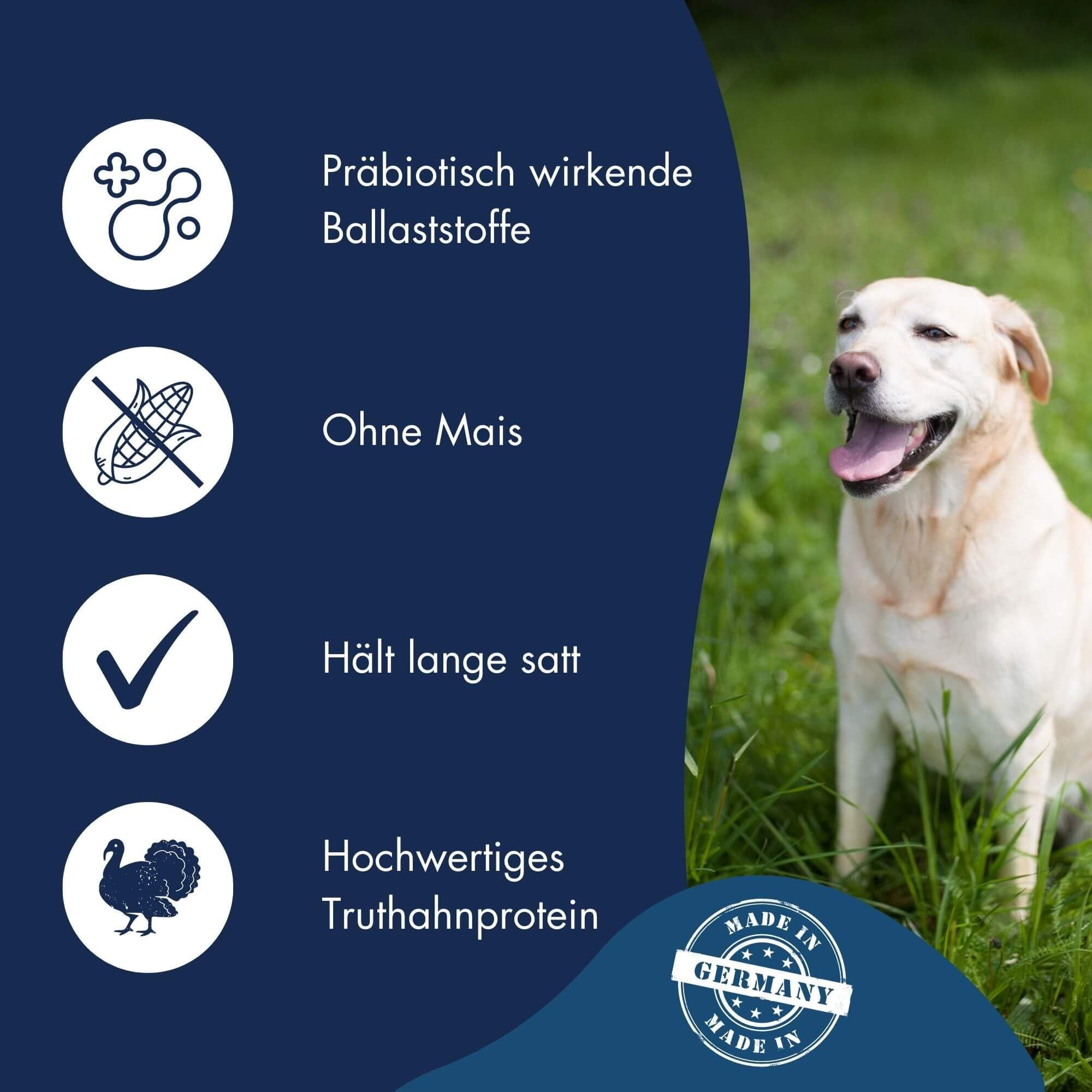 DR.CLAUDER’S - Best Choice Senior Light | Trockenfutter für ältere Hunde mit geringem Energiebedarf zur Gewichtskontrolle. Weizenfreies Alleinfutter im Beutel | 12,5kg Truthahn&Reis
