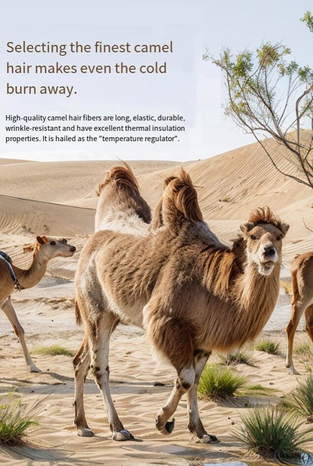 Thermal Winter Leggings 4-Layer Thick Camel Hair 14°F to -49°F Suitable XL Pants